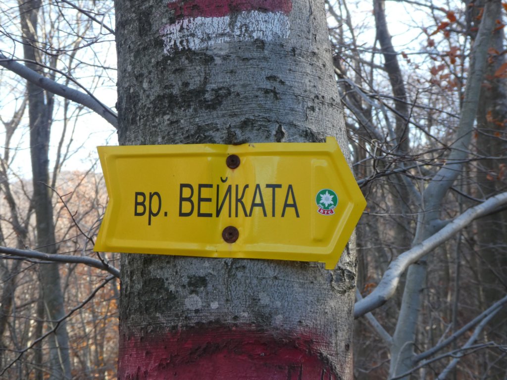 photo5.jpg