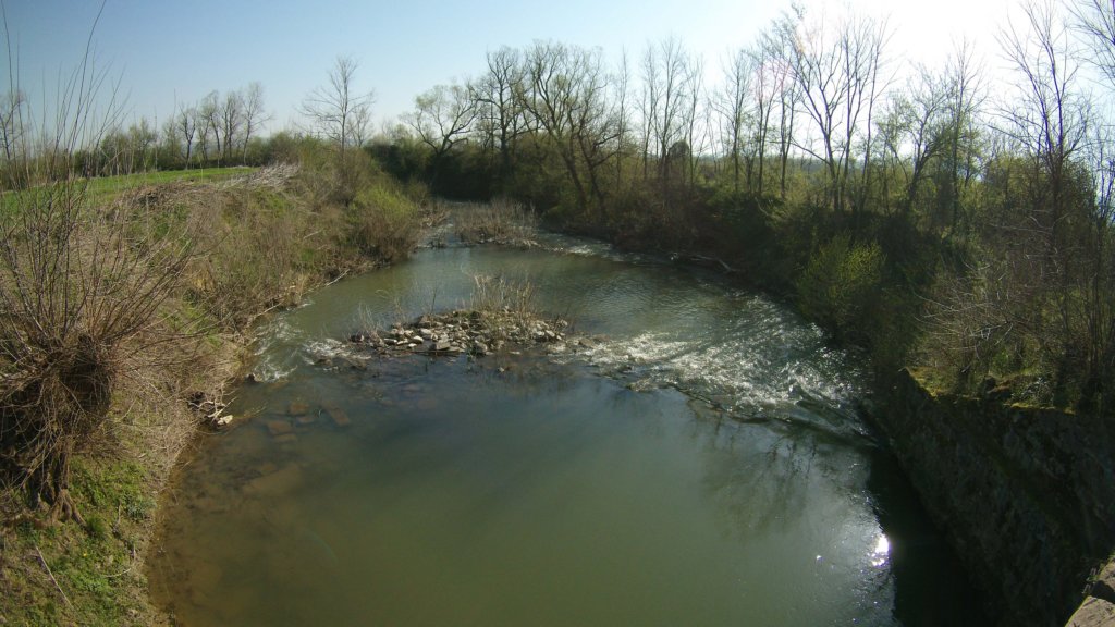 photo106.jpg