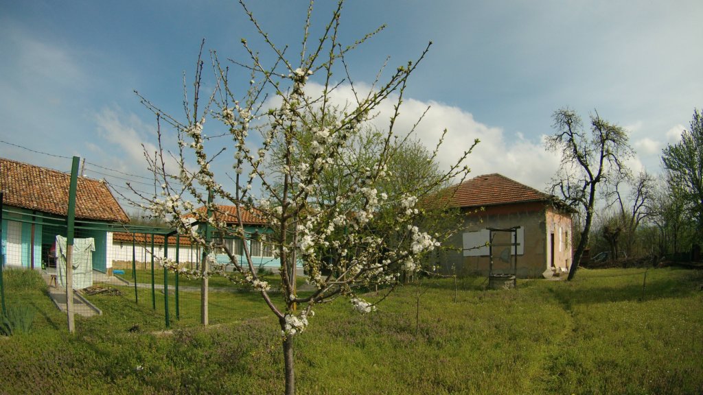 photo13.jpg