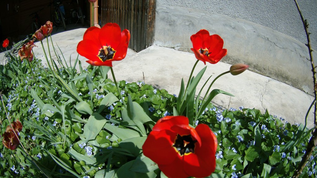 photo15.jpg