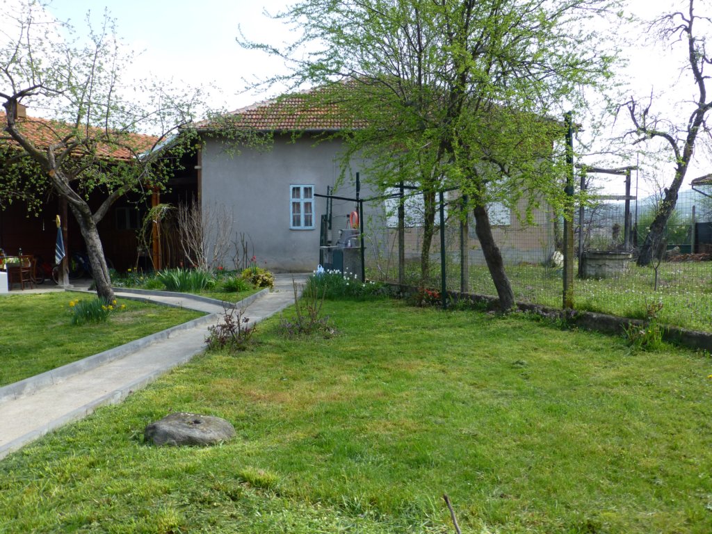 photo2.jpg