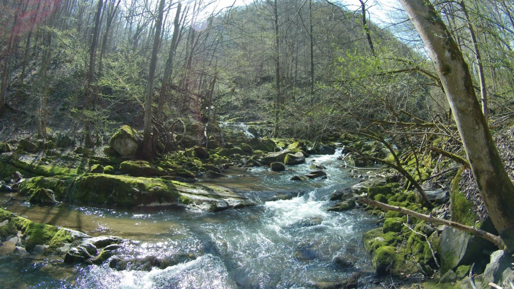 photo63.jpg