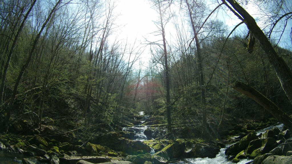 photo65.jpg