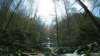 photo65_small.jpg