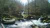 photo66_small.jpg