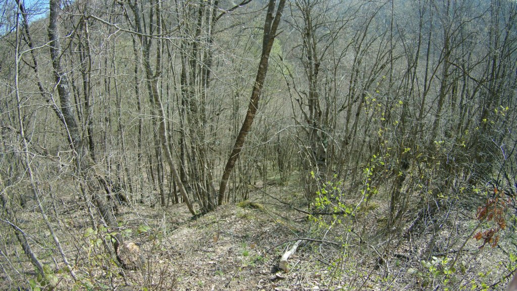photo73.jpg