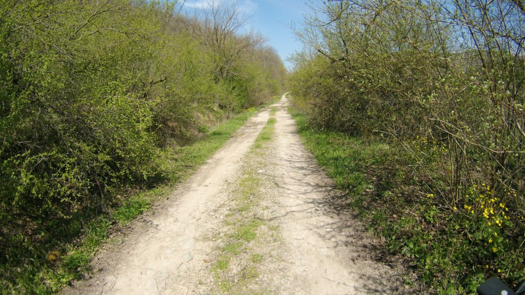 photo80.jpg