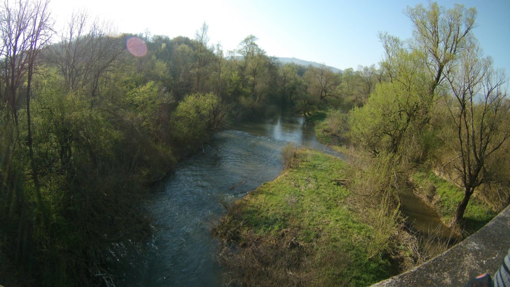 photo92.jpg