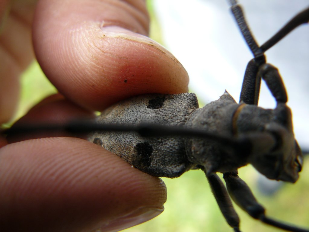 photo7.jpg