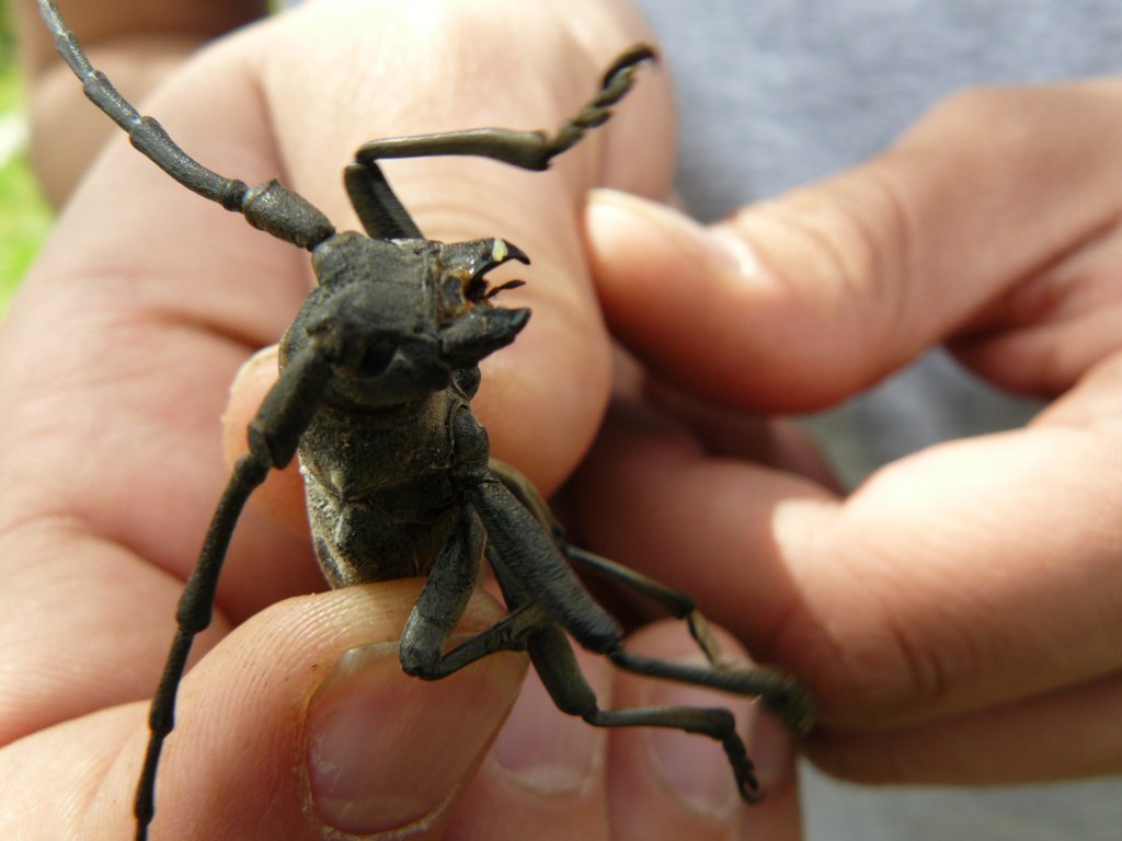 photo9.jpg