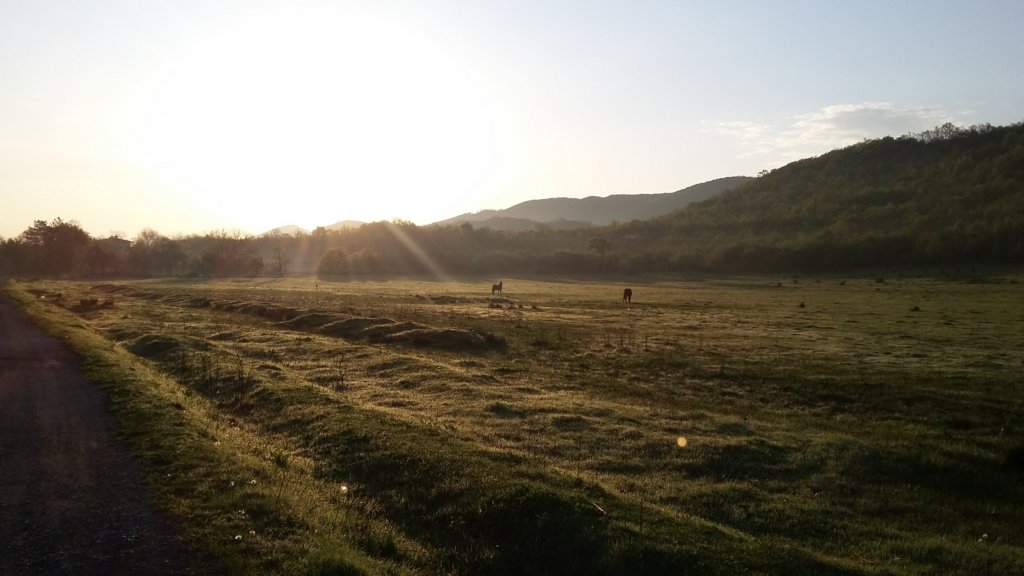 photo3.jpg