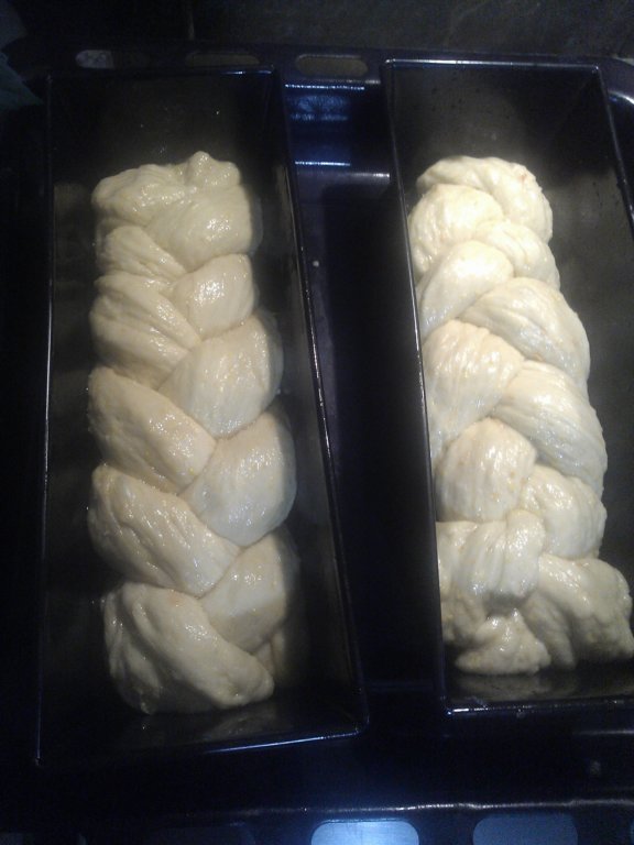 photo31.jpg