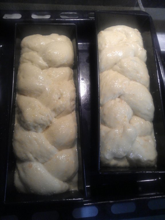 photo32.jpg