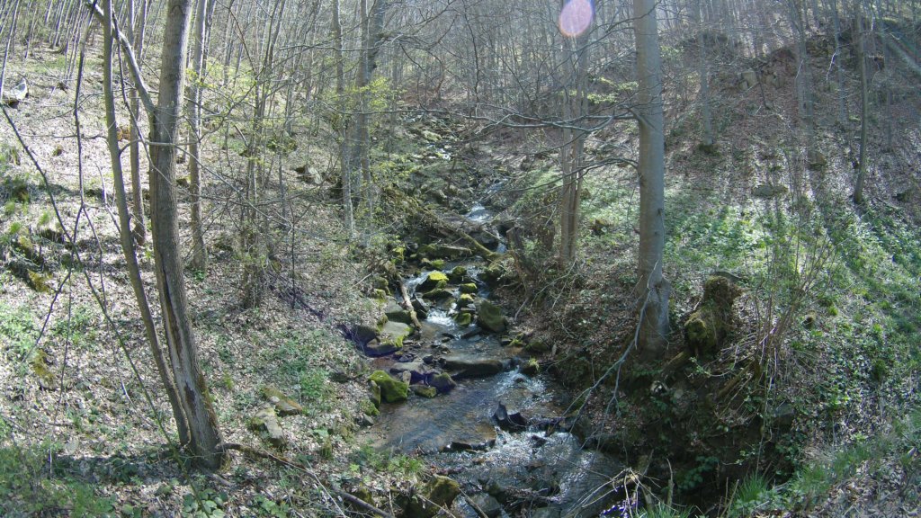 photo13.jpg