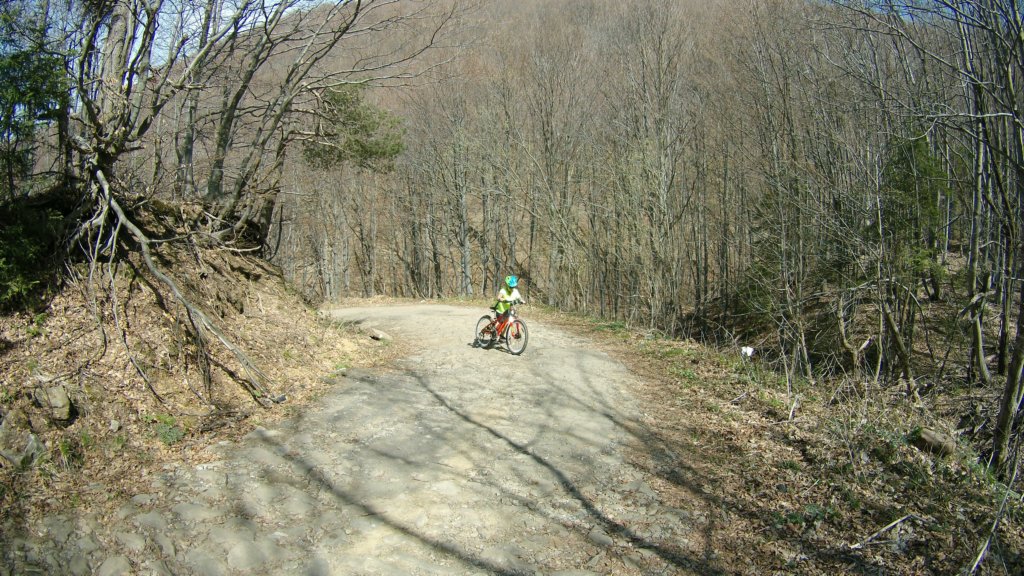 photo18.jpg