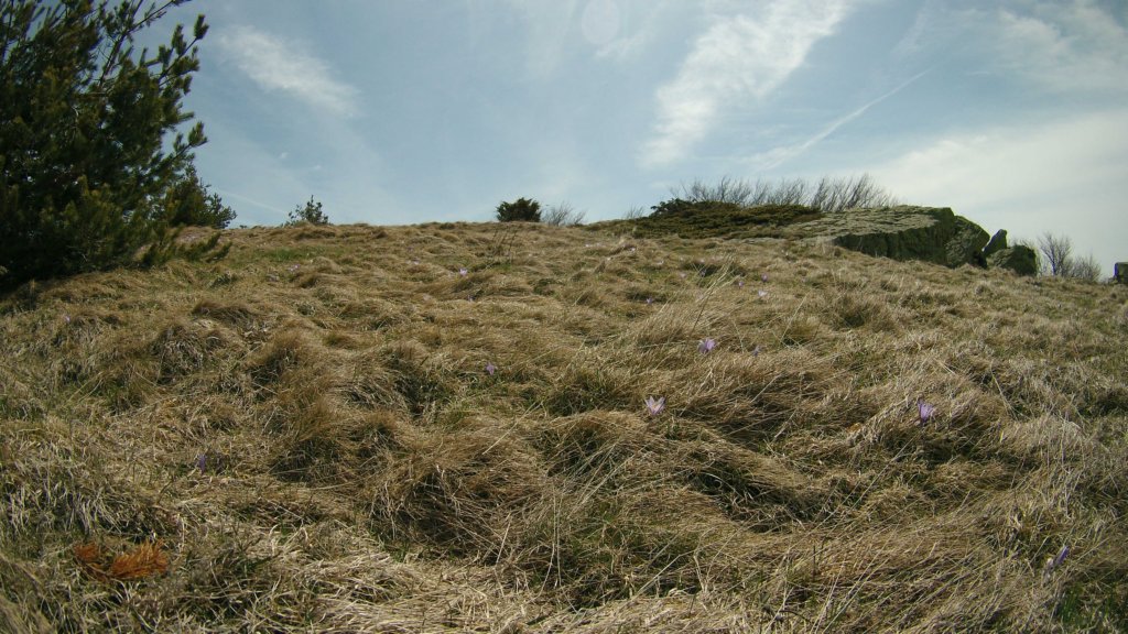 photo23.jpg