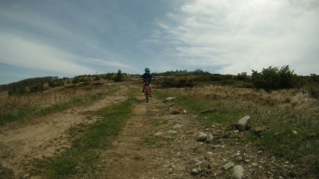 photo46.jpg