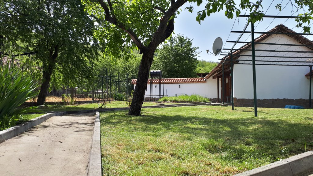 photo5.jpg