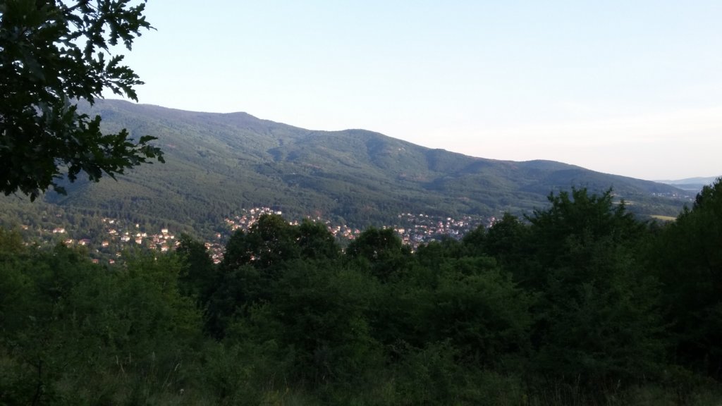 photo6.jpg