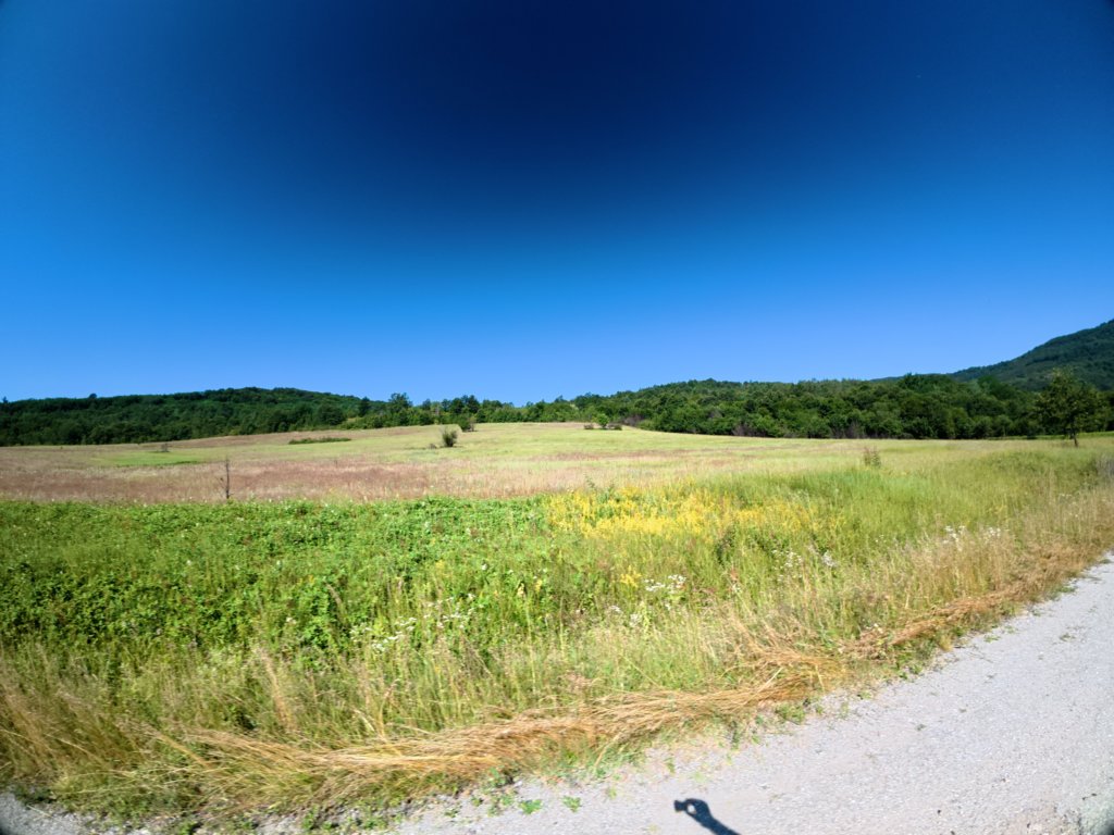 photo2.jpg
