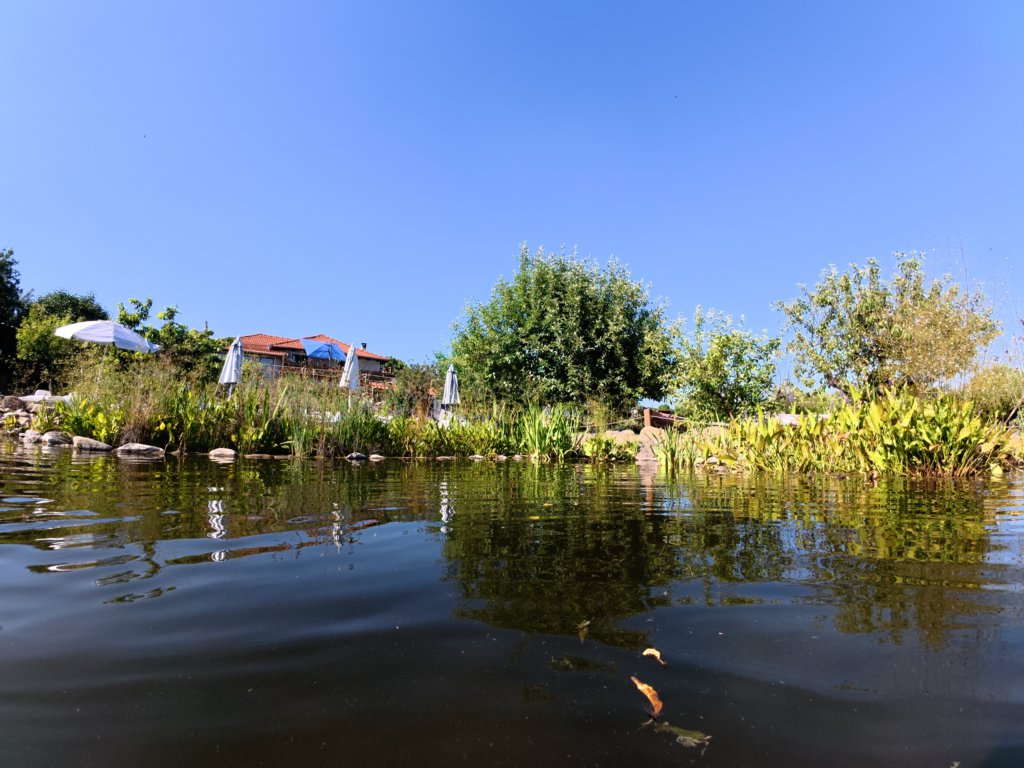 photo25.jpg