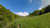 photo7_small.jpg