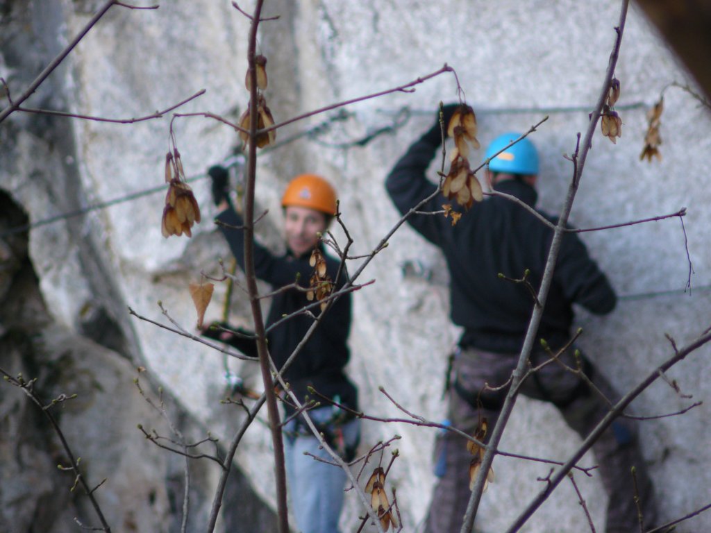 photo27.jpg