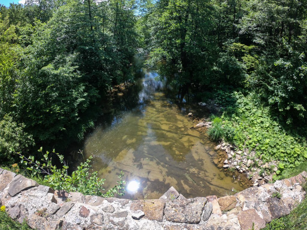 photo17.jpg