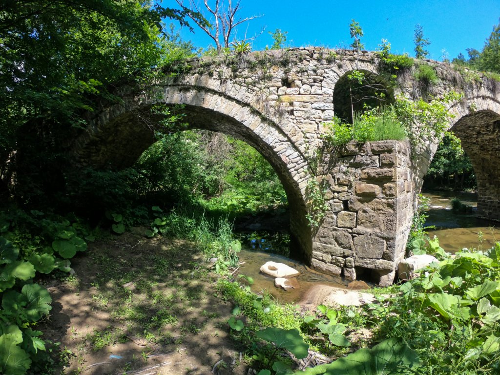 photo19.jpg