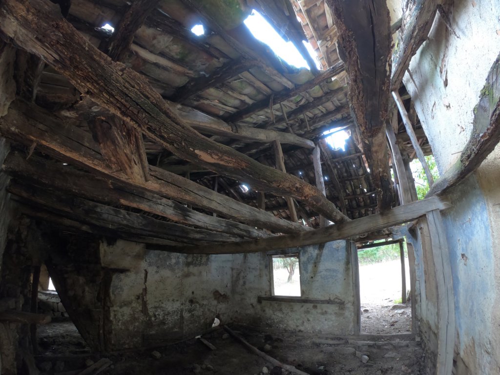 photo10.jpg