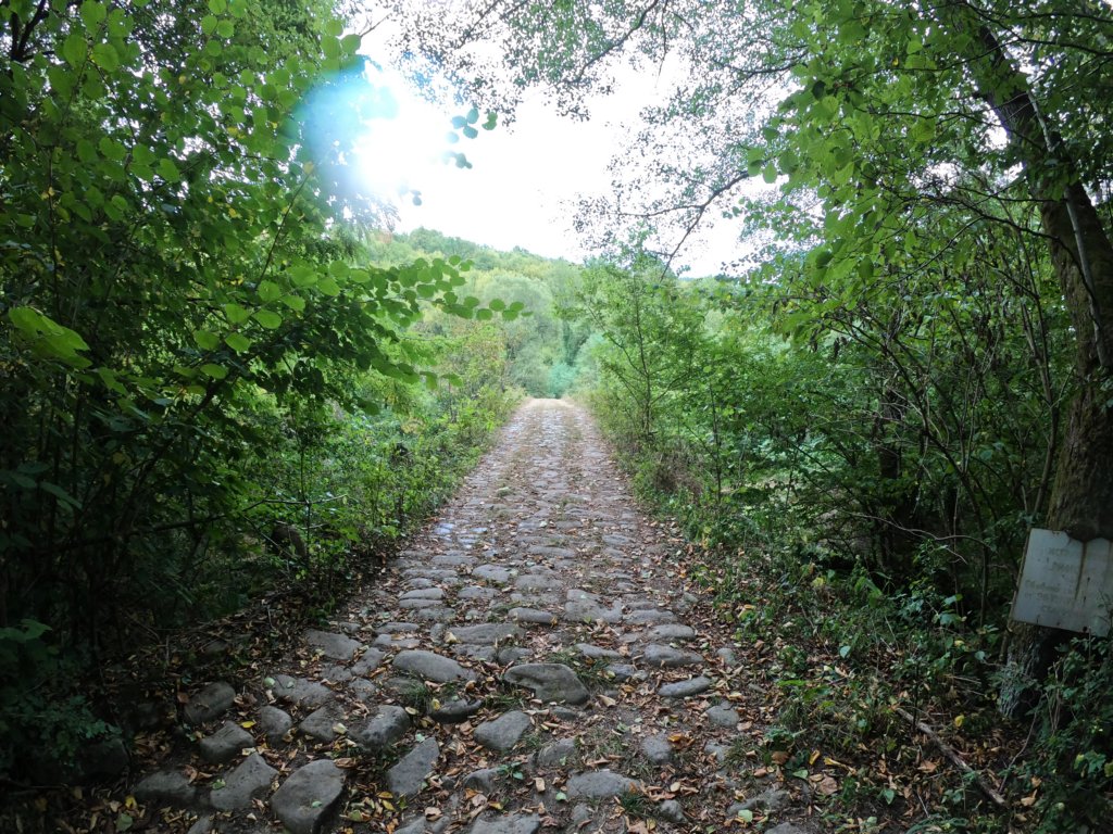 photo18.jpg