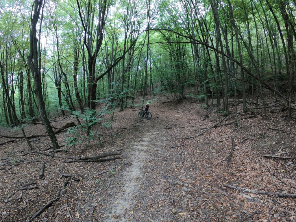 photo22.jpg