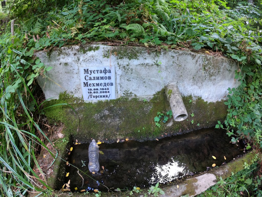 photo35.jpg