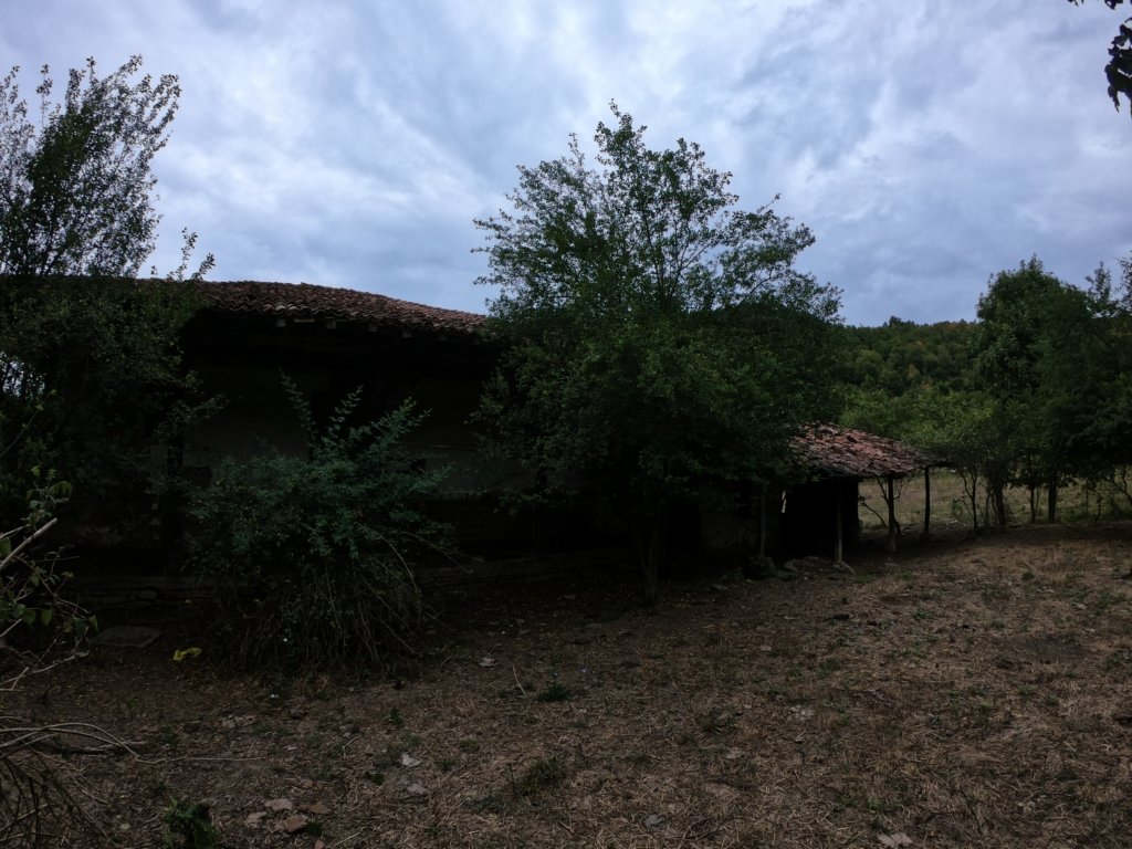 photo5.jpg