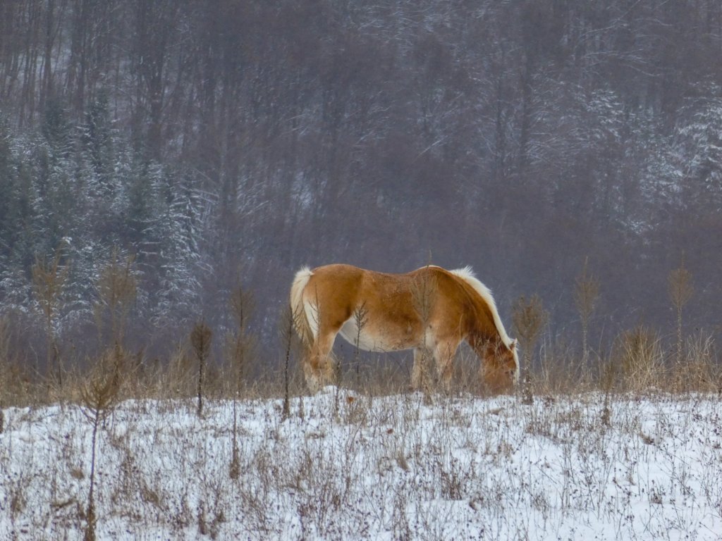 photo2.jpg