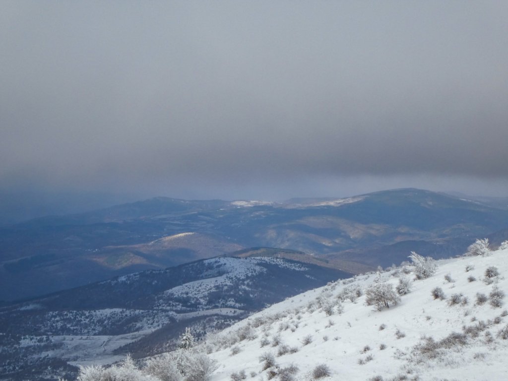 photo21.jpg