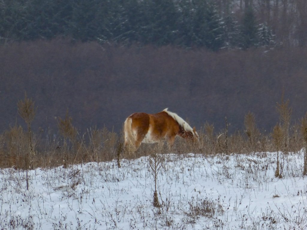 photo3.jpg
