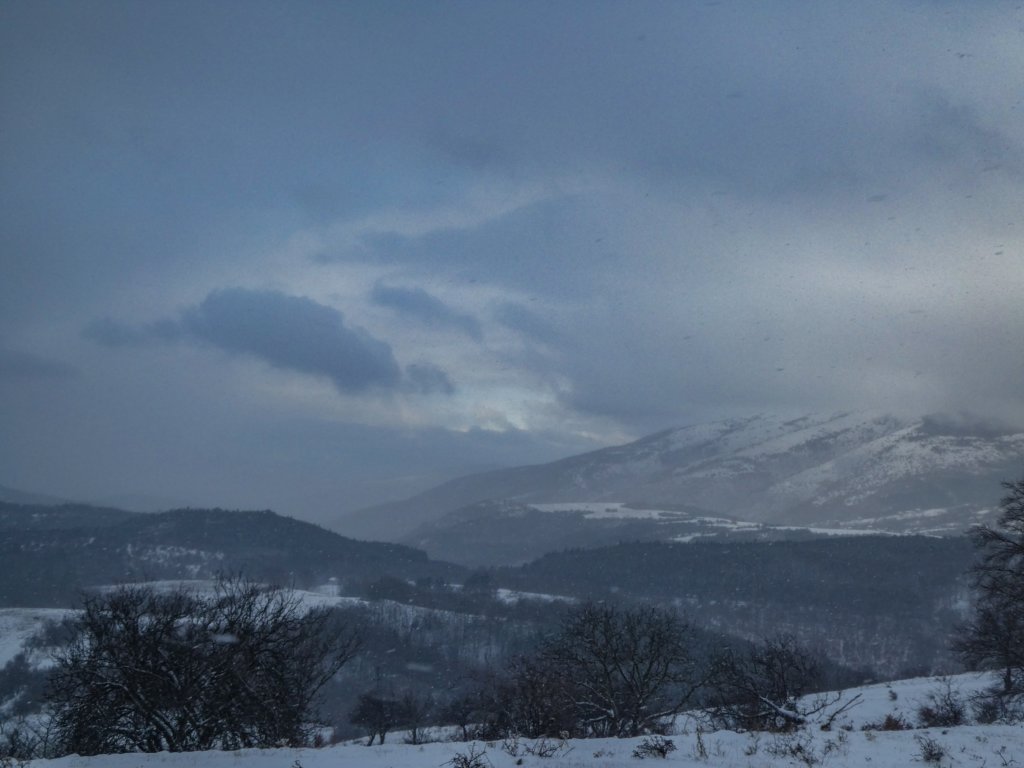 photo5.jpg