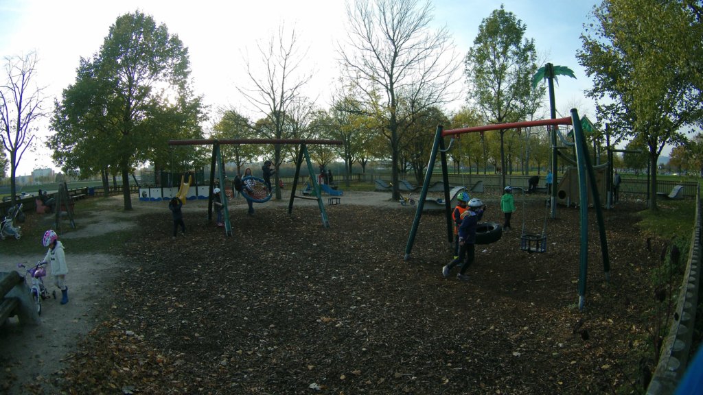 photo43.jpg