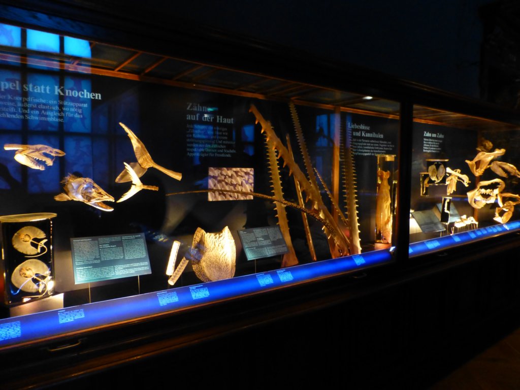 photo10.jpg