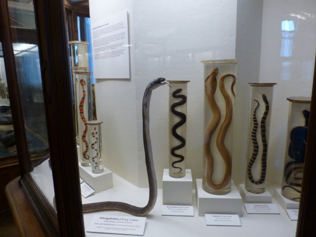 photo13.jpg