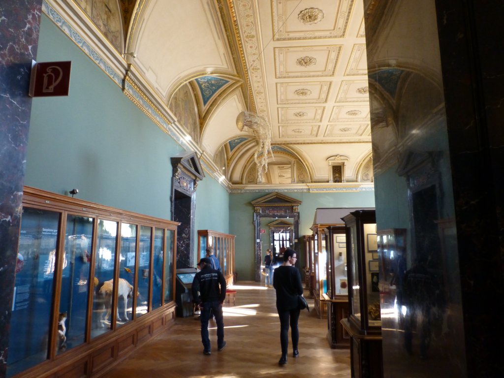 photo5.jpg