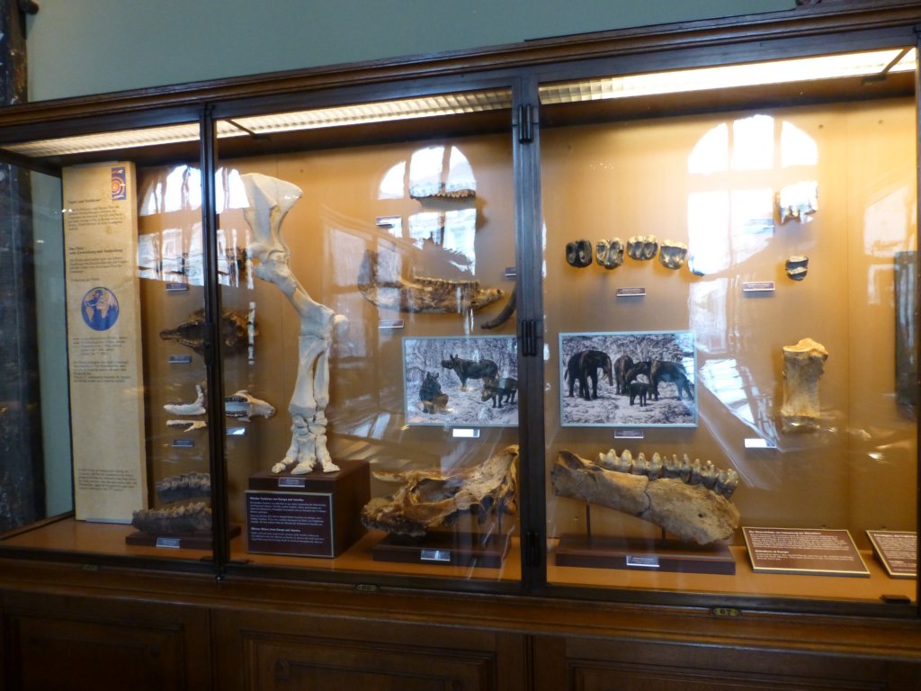 photo51.jpg