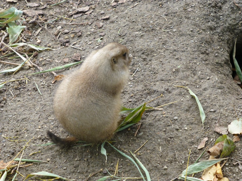photo105.jpg