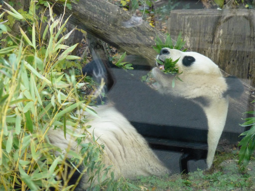 photo13.jpg
