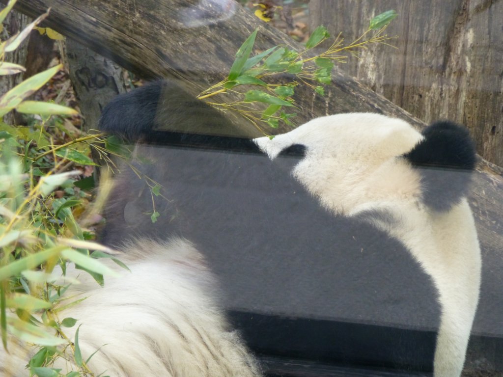 photo14.jpg