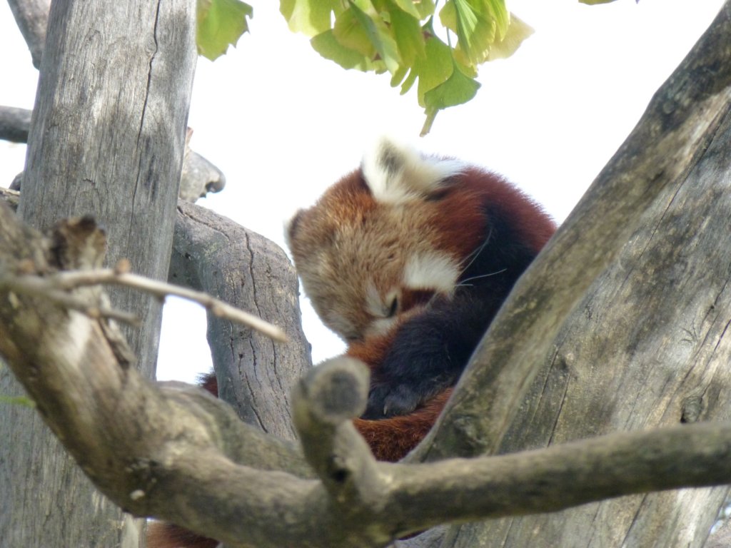 photo24.jpg