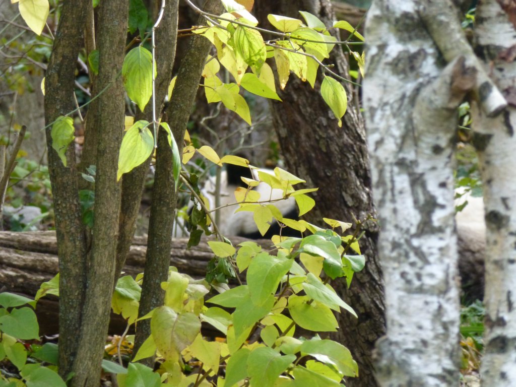 photo3.jpg