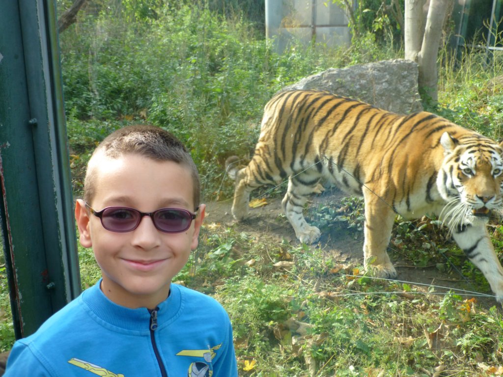 photo40.jpg