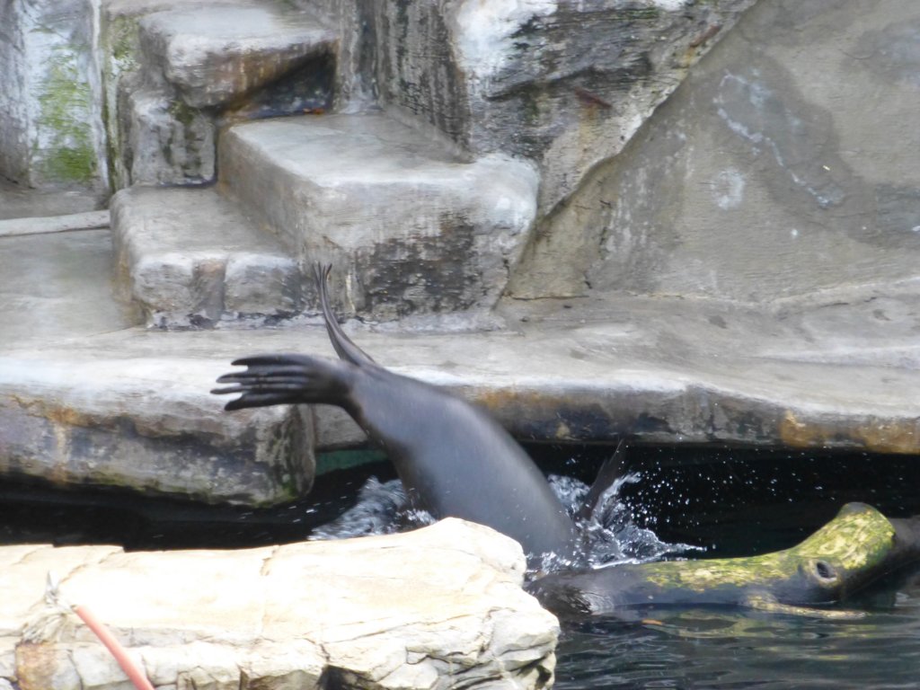 photo44.jpg